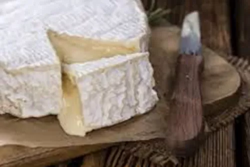 Tarte apéro Camembert (aop)
