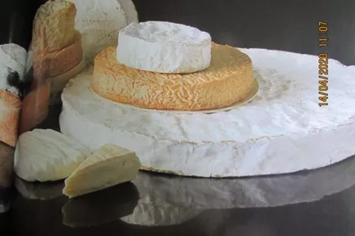 Petits flans de parmesan, tomate confite